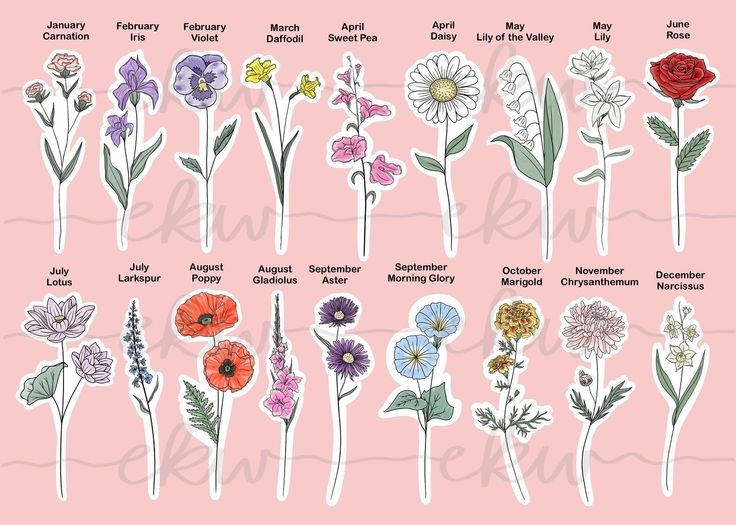2 4 Birth Month Flower Bouquet 1 3 Day Turnaround Customizable Digital 