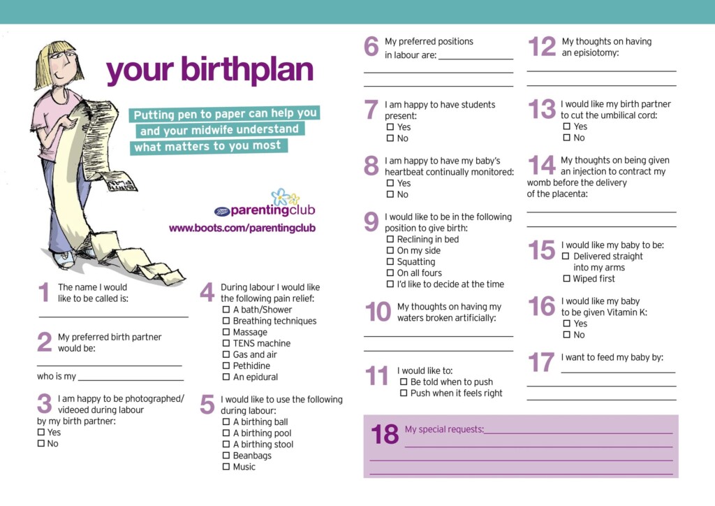 47 Printable Birth Plan Templates Birth Plan Checklist Template Lab