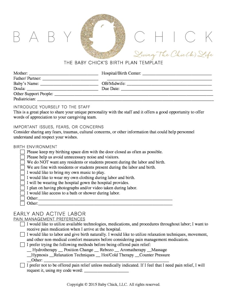 47 Printable Birth Plan Templates Birth Plan Checklist TemplateLab