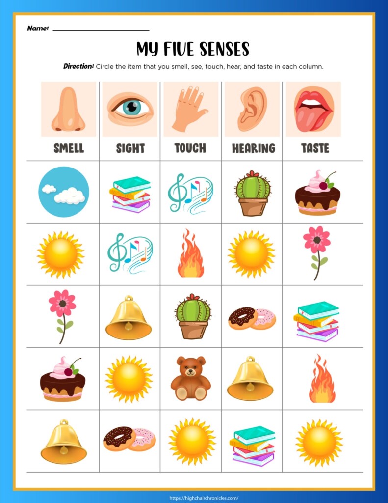 5 Senses Worksheets For Preschool And Kindergarten Free Printable 