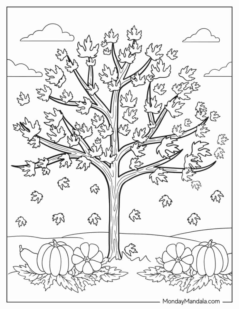 Autumn Tree Colouring Pages Vrogue co