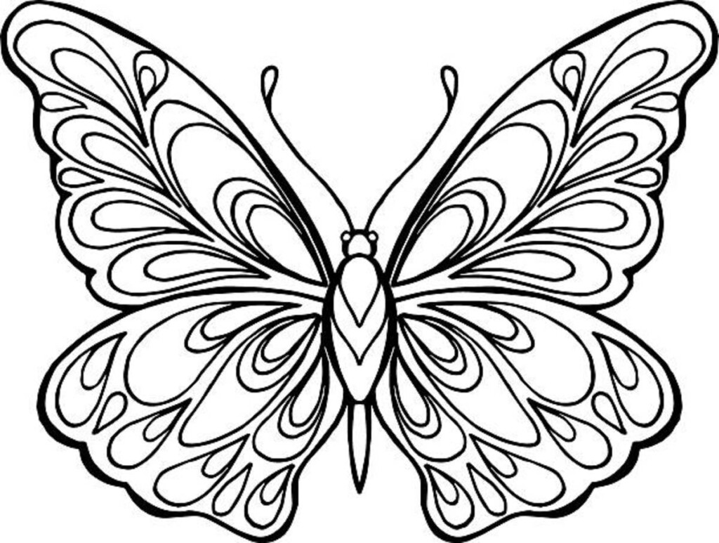 Butterfly Coloring Pages 25 Free Printable Sheets Parade