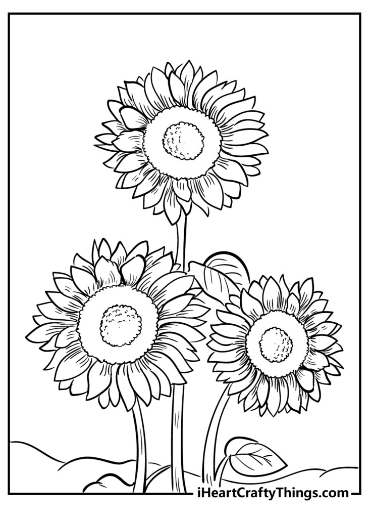 Coloring Pages Of Sunflowers Printable