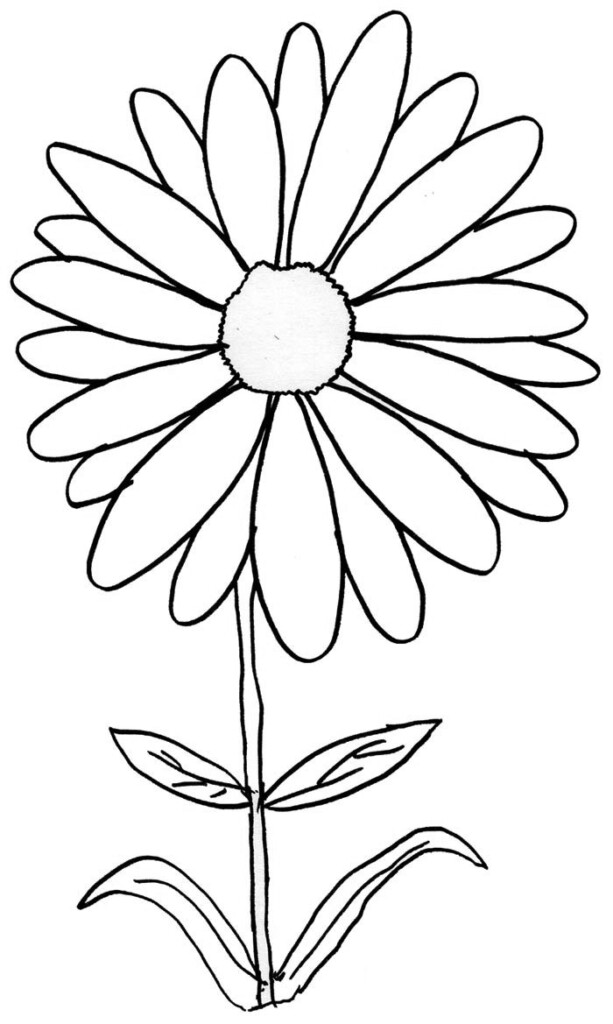 Daisy Coloring Pages Best Coloring Pages For Kids