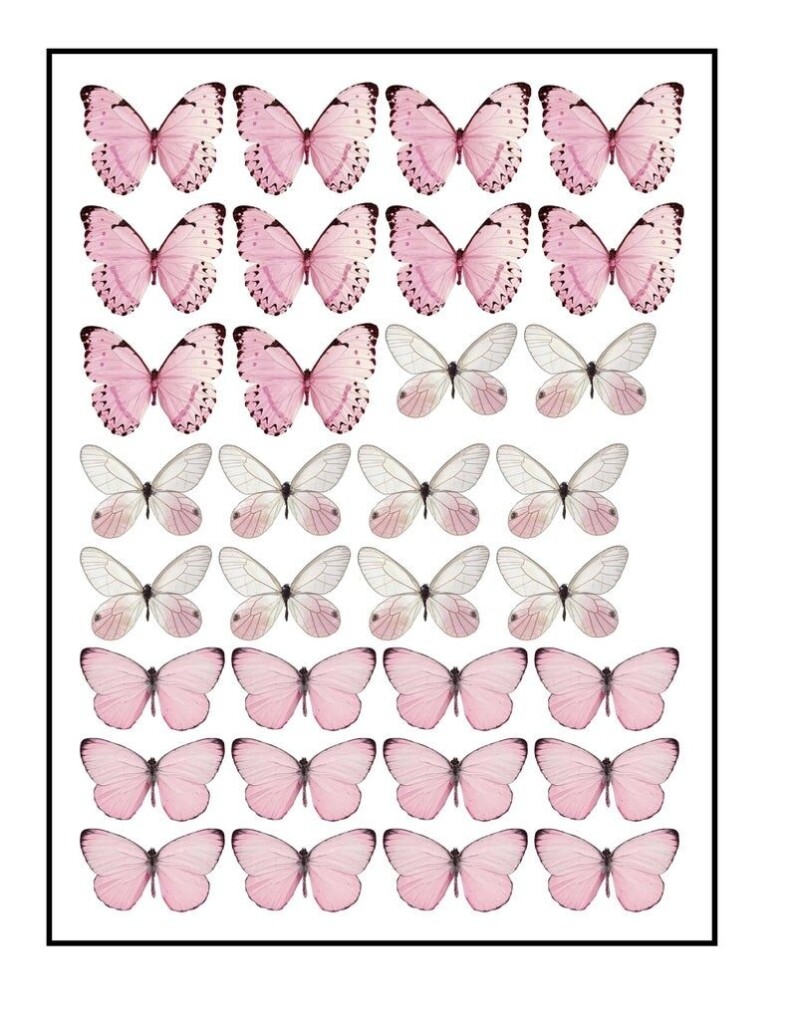 Edible Pre cut Wafer Butterfly Pastel Pink And White Etsy Butterfly 