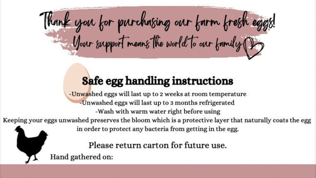Egg Handling Instructions printable DIGITAL PRODUCT Etsy