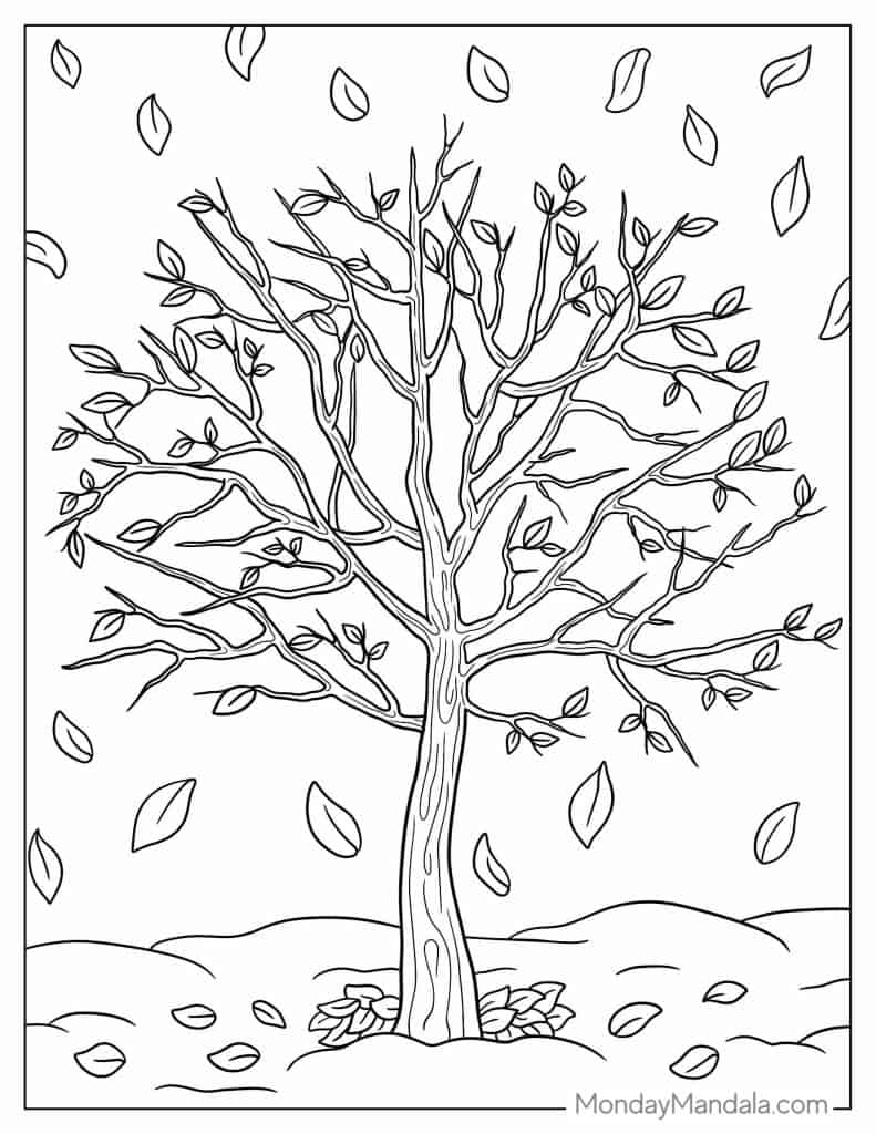 Fall Tree Coloring Page For Kids