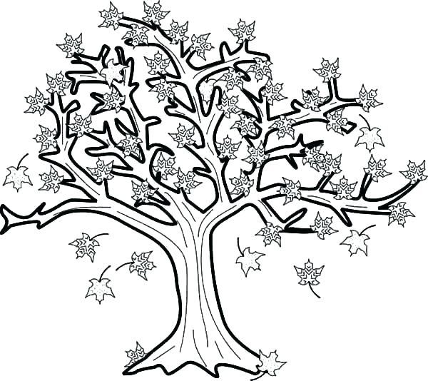Fall Tree Coloring Pages Printable At GetDrawings Free Download