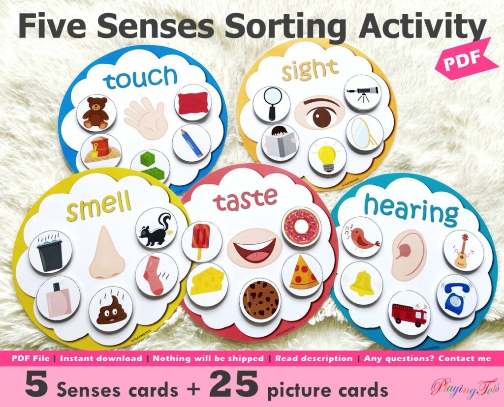 Five Senses Sorting Activity Printable 5 Senses Sorting Etsy Hong Kong