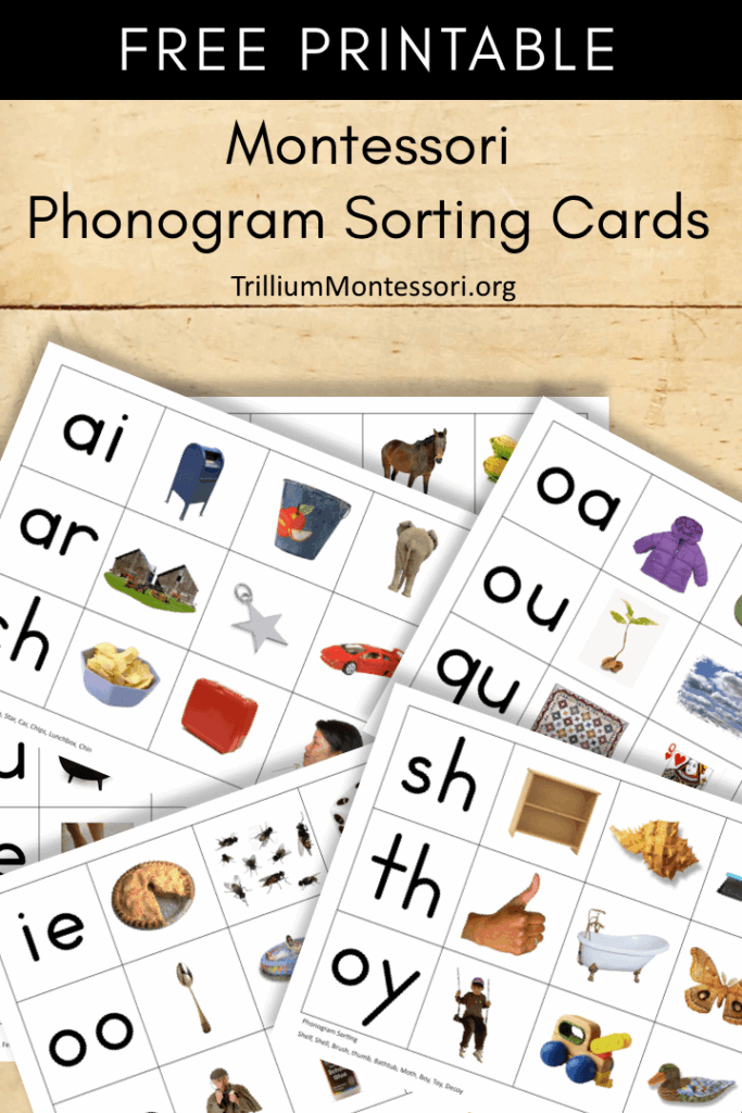 Free Montessori Printable Phonogram Sorting