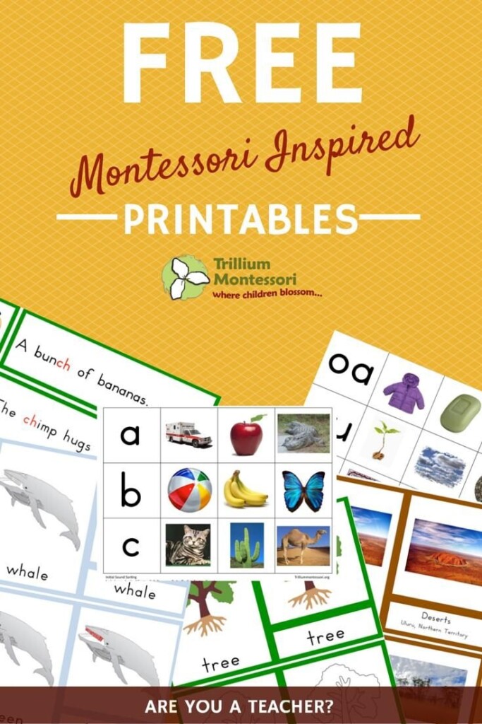 Free Montessori Printables Waldorf Montessori Montessori Lessons 