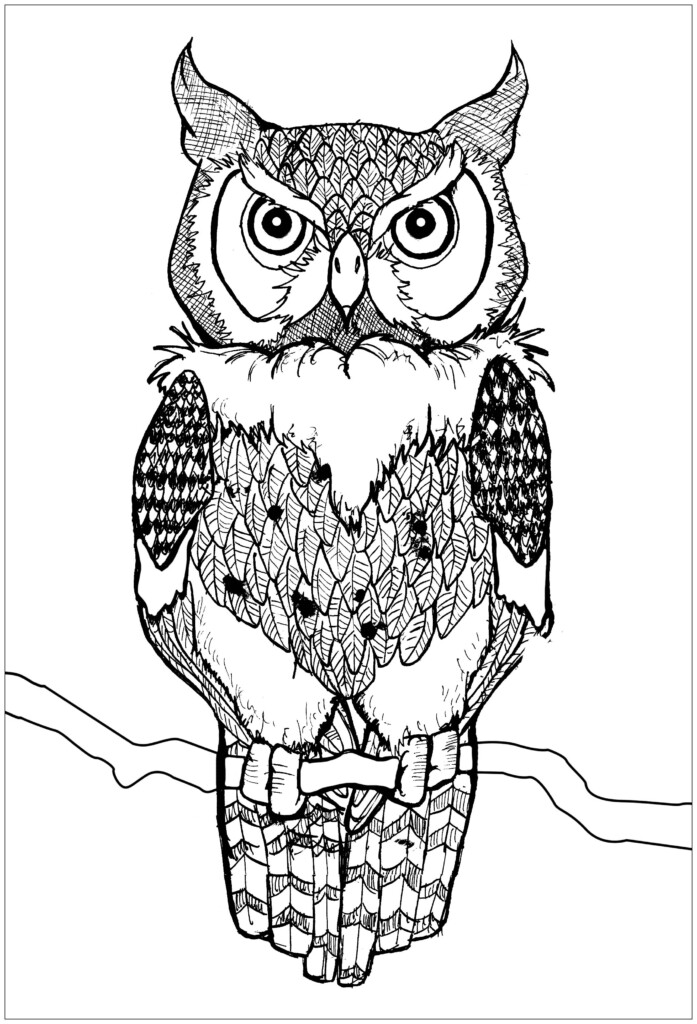 Free Owl Drawing To Download And Color Owls Coloring Pages For Kids