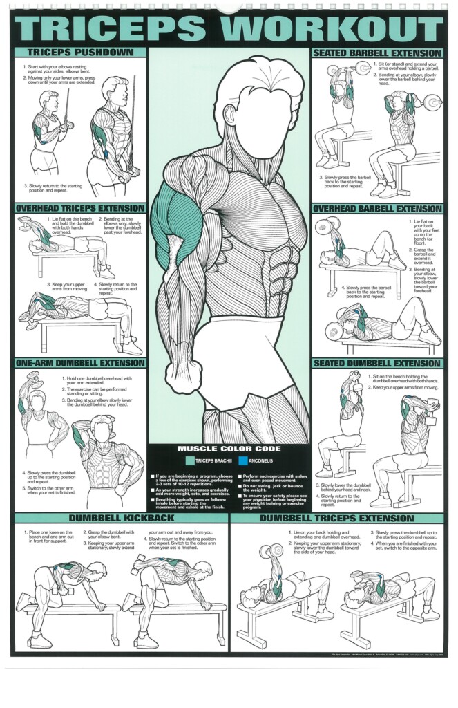 Free Printable Dumbbell Workout Chart Printable Sight Words List