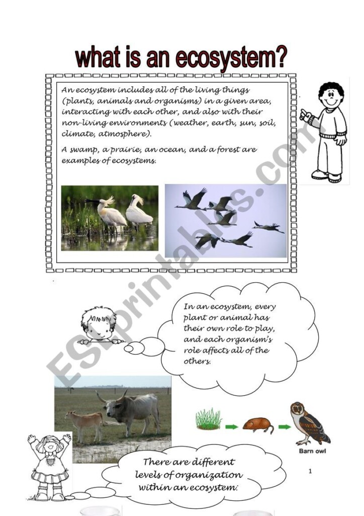 Free Printable Ecosystem Worksheets Pdf Printable Word Searches