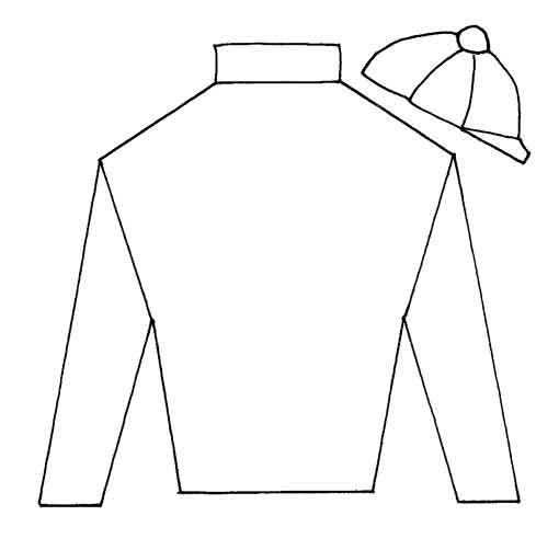 Free Printable Jockey Silks Template