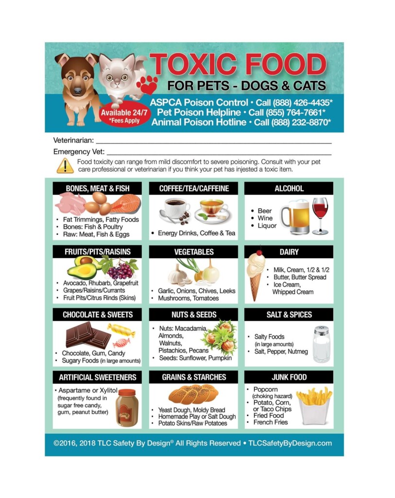 Free Printable List Of Toxic Foods For Dogs