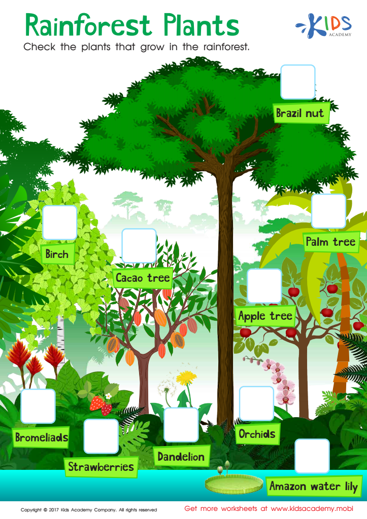 Free Printable Rainforest Worksheets