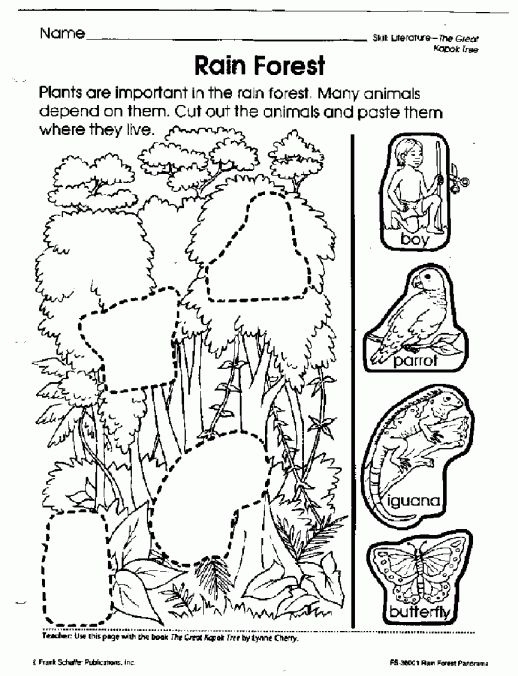 Free Printable Rainforest Worksheets
