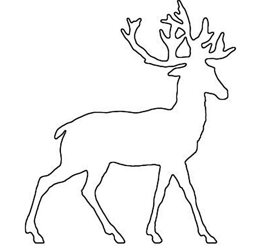 Free Printable Reindeer Patterns Templates Ascseprivacy