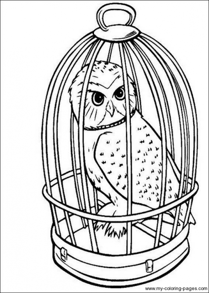 Harry Potter Coloring Pages Printable Get This Harry Potter Coloring 