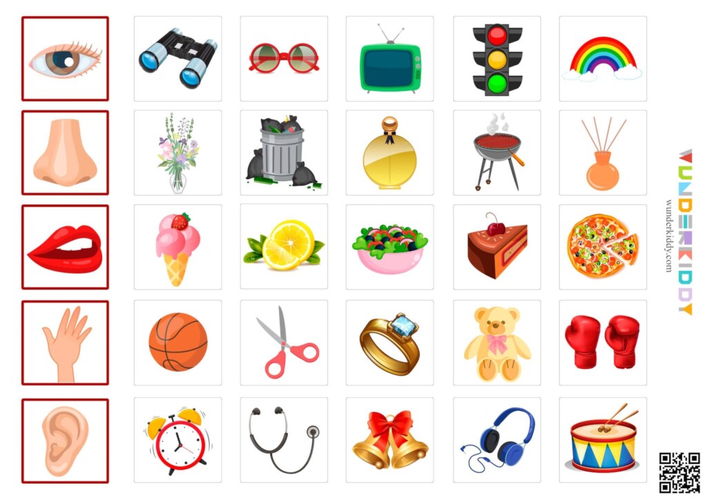 Kindergarten Printable Sorting Activity Five Senses Artofit