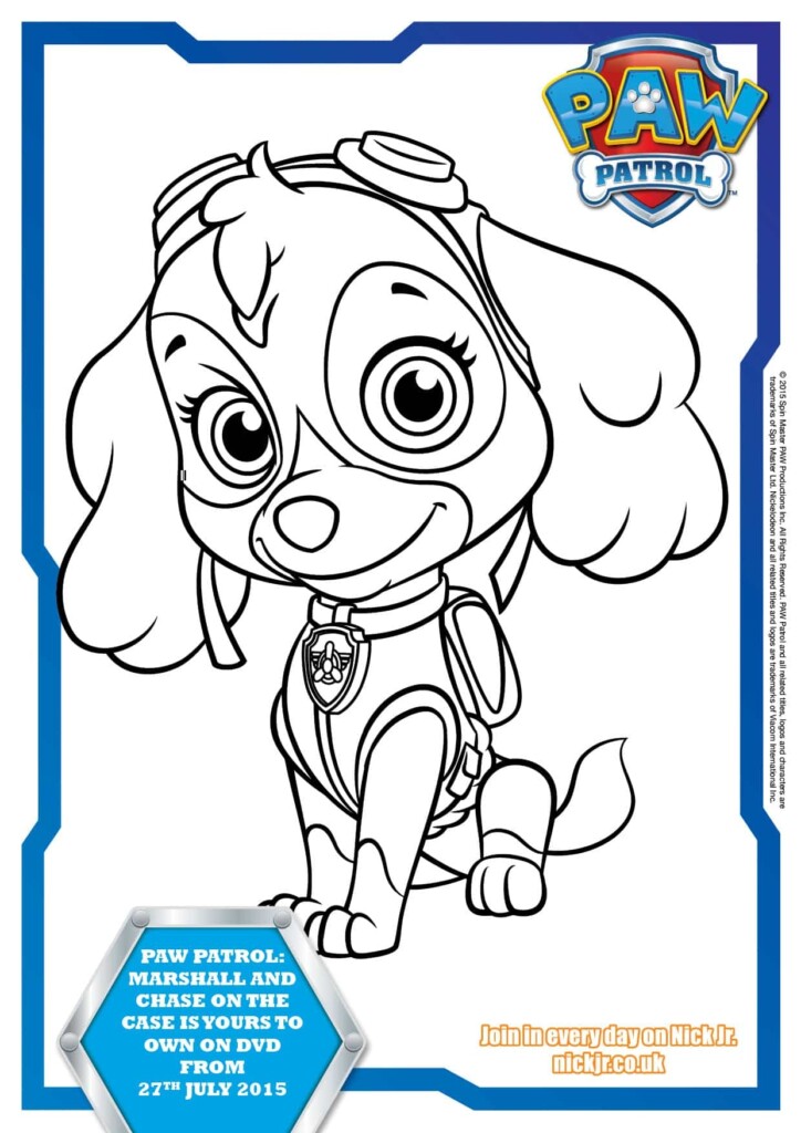 Paw Patrol Colouring Pages And Activity Sheets In The Playroom