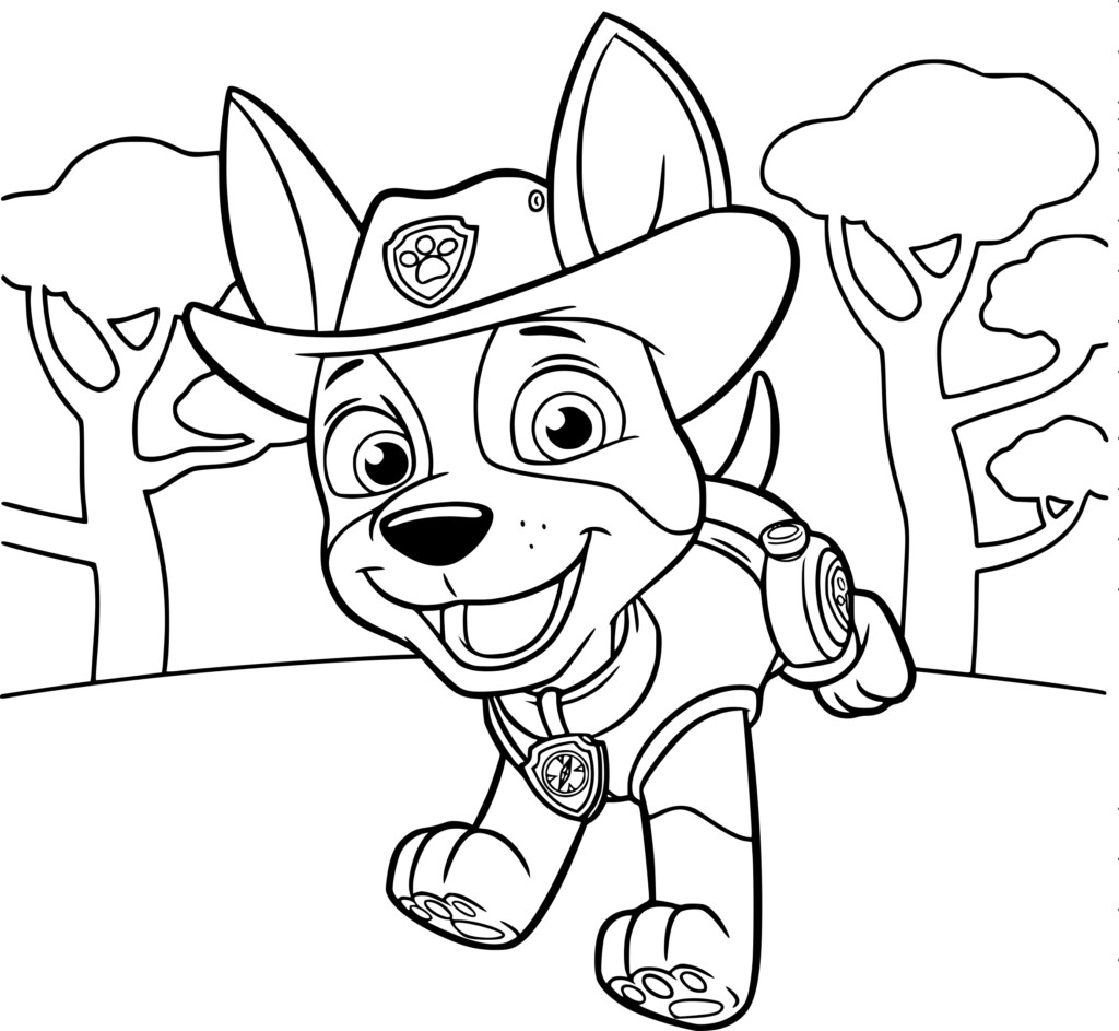 Paw Patrol Printable