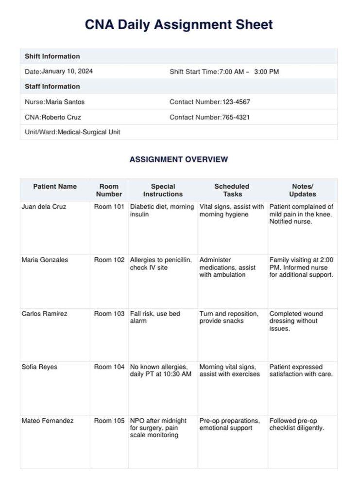 Printable CNA Daily Assignment Sheet Example Free PDF Download