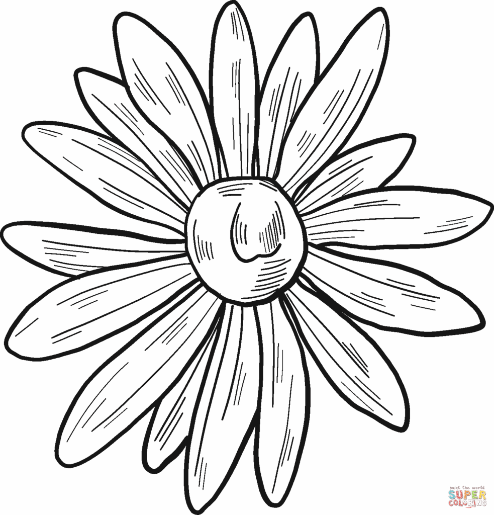 Printable Daisy Coloring Pages