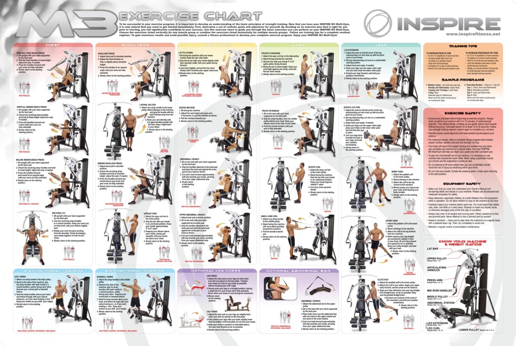 Printable Free Multi Gym Exercises Chart