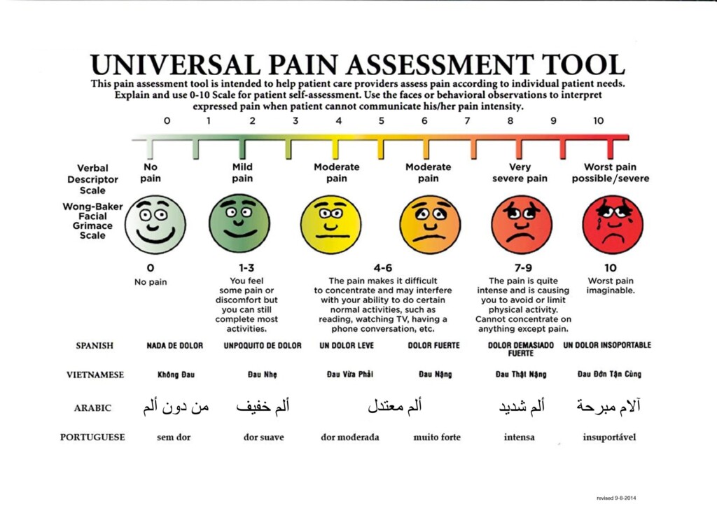 Printable Pain Chart