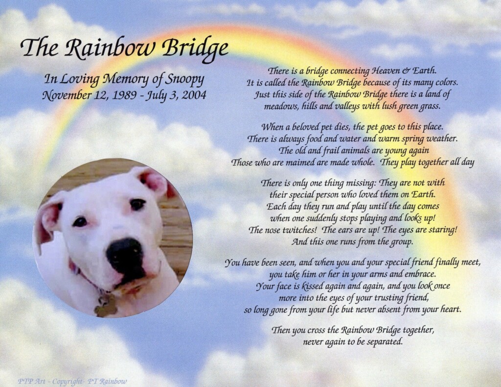 Rainbow Bridge Poem Printable Dogs Printable And Enjoyable Learning
