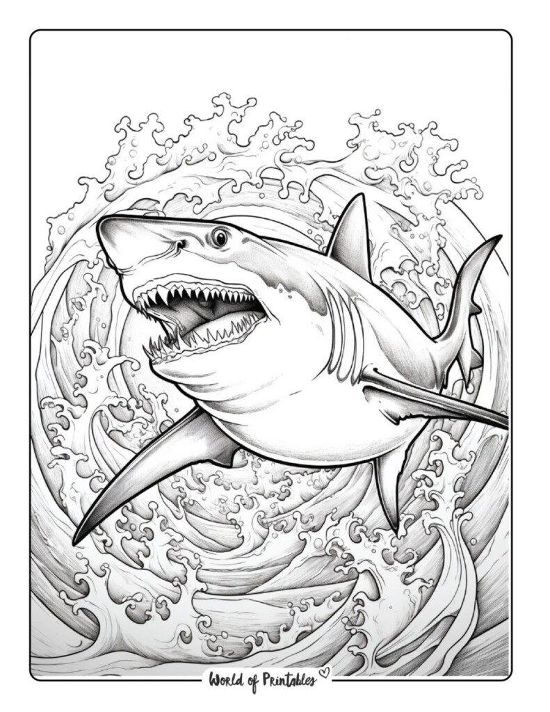 Shark Coloring Pages For Kids Adults World Of Printables