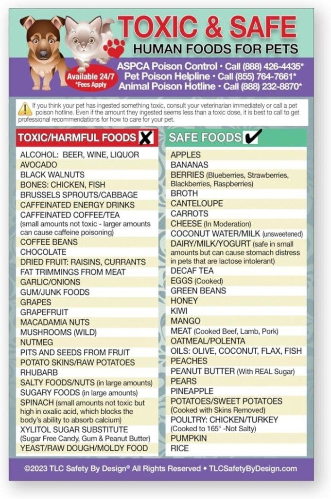 Toxic Foods For Dogs